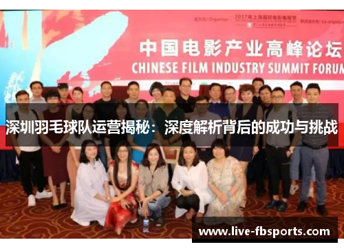 深圳羽毛球队运营揭秘：深度解析背后的成功与挑战