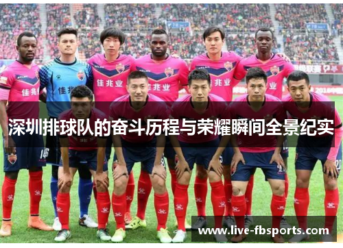 深圳排球队的奋斗历程与荣耀瞬间全景纪实
